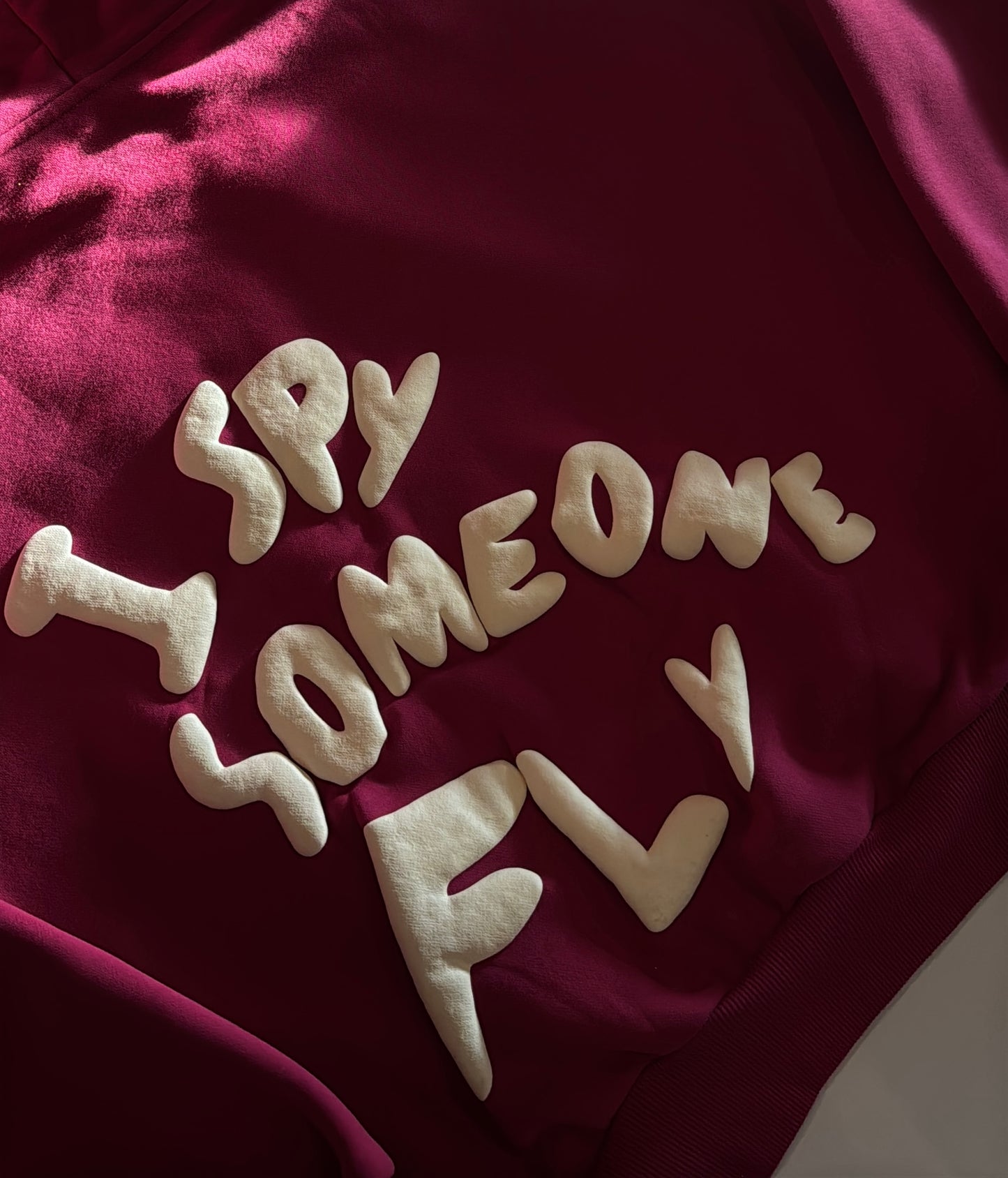 “ I SPY SOMEONE FLY” hoodie